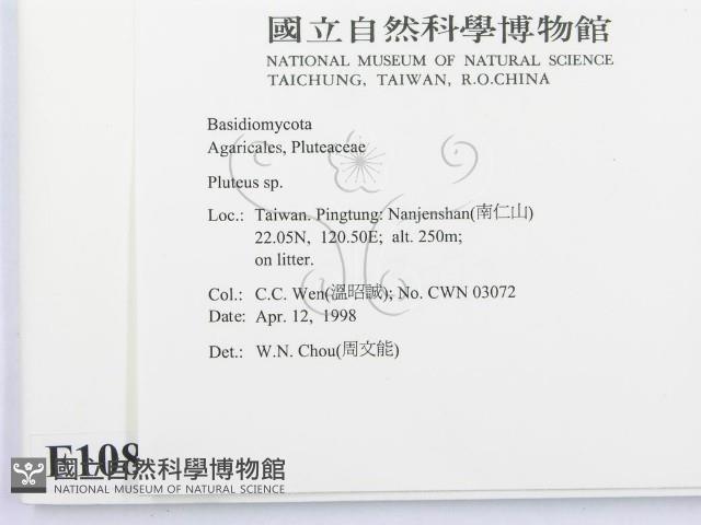 登錄號:F0010884藏品圖，第2張