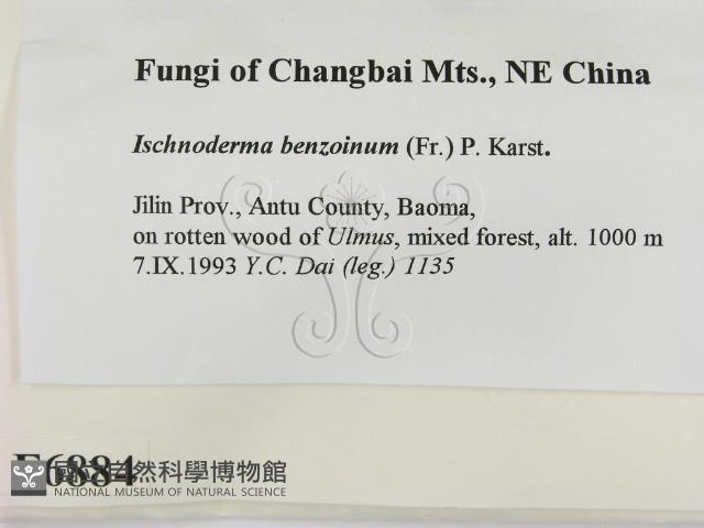 登錄號:F0006884藏品圖，第2張