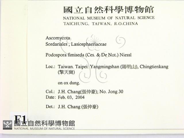 登錄號:F0016884藏品圖，第2張
