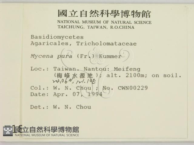 登錄號:F0001884藏品圖，第2張