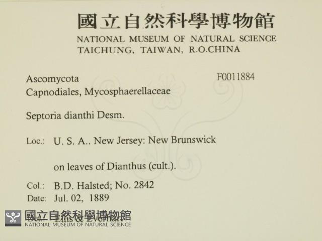 登錄號:F0011884藏品圖，第2張