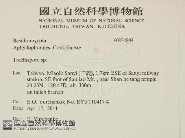 登錄號:F0024884藏品圖，第2張