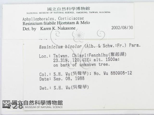 登錄號:F0002884藏品圖，第2張