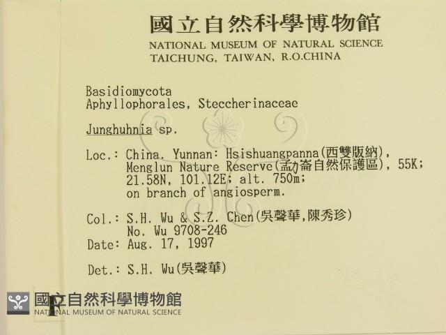 登錄號:F0007884藏品圖，第2張