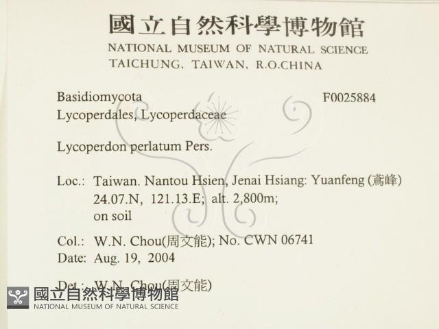 登錄號:F0025884藏品圖，第2張
