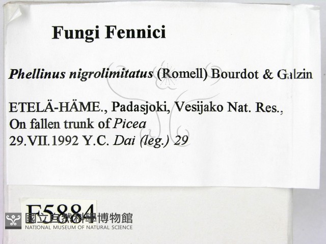 登錄號:F0005884藏品圖，第2張