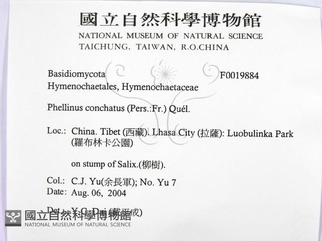 登錄號:F0019884藏品圖，第2張