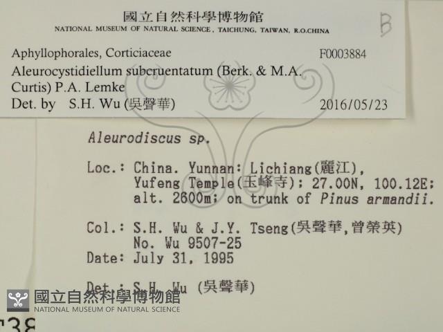 登錄號:F0003884藏品圖，第2張