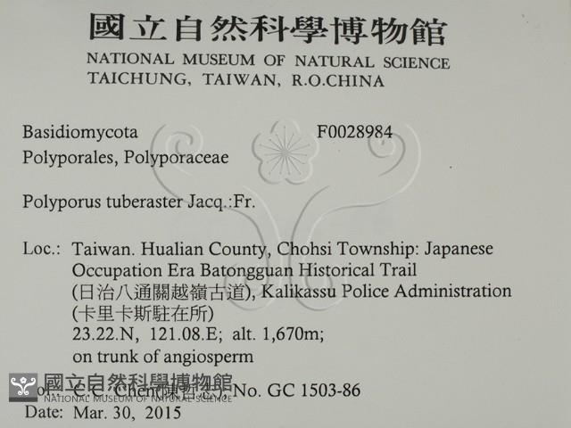 登錄號:F0028984藏品圖，第2張