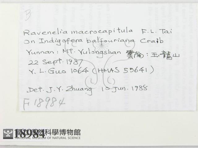 登錄號:F0018984藏品圖，第2張