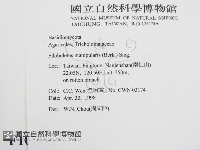 登錄號:F0010984藏品圖，第2張