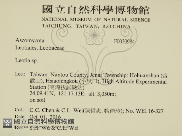 登錄號:F0030984藏品圖，第2張