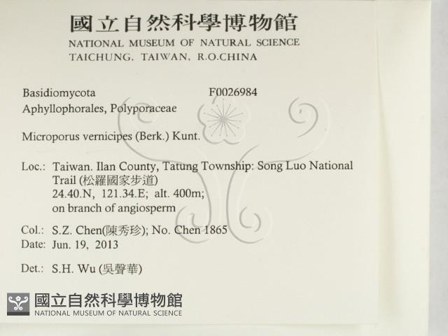 登錄號:F0026984藏品圖，第2張