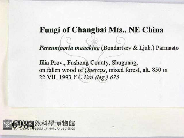 登錄號:F0006984藏品圖，第2張