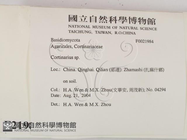 登錄號:F0021984藏品圖，第2張
