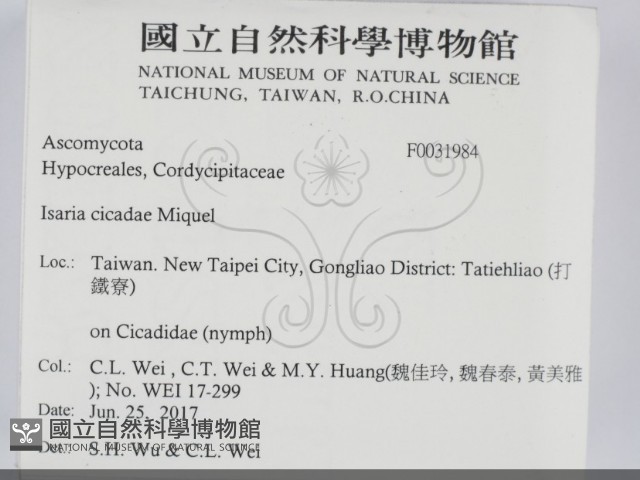 登錄號:F0031984藏品圖，第2張