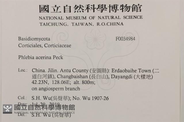 登錄號:F0034984藏品圖，第2張