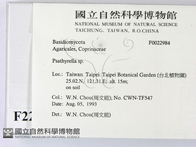 登錄號:F0022984藏品圖，第2張