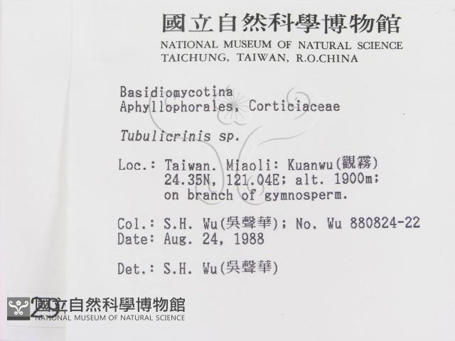 登錄號:F0002984藏品圖，第2張