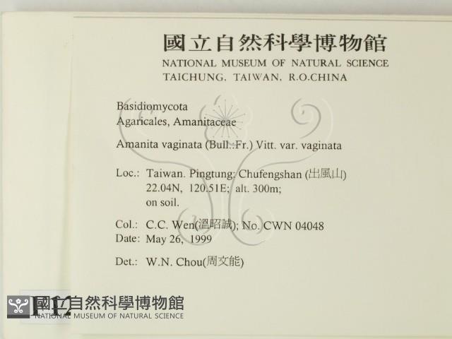 登錄號:F0012984藏品圖，第2張