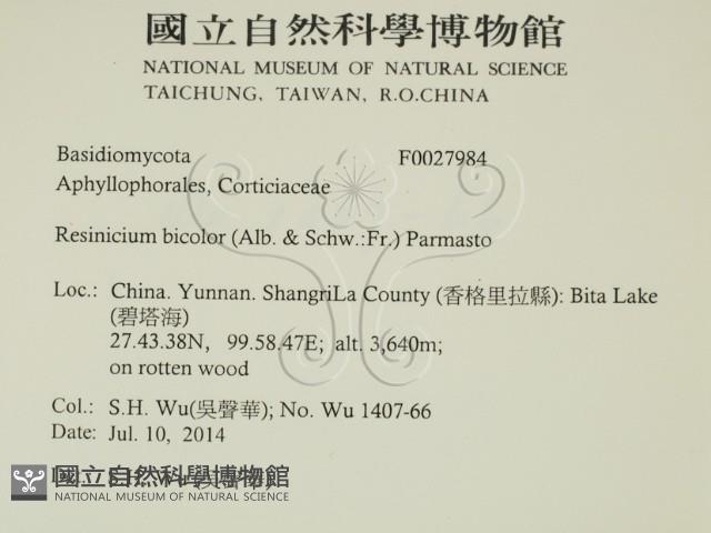 登錄號:F0027984藏品圖，第2張
