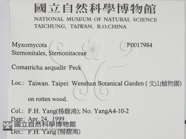 登錄號:F0017984藏品圖，第2張