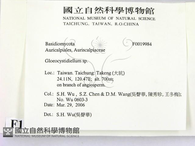 登錄號:F0019984藏品圖，第2張