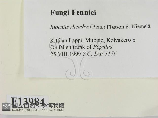 登錄號:F0013984藏品圖，第2張