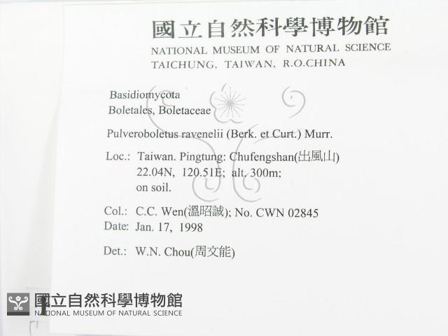 登錄號:F0010684藏品圖，第2張