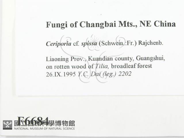 登錄號:F0006684藏品圖，第2張