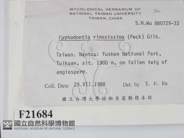 登錄號:F0021684藏品圖，第2張