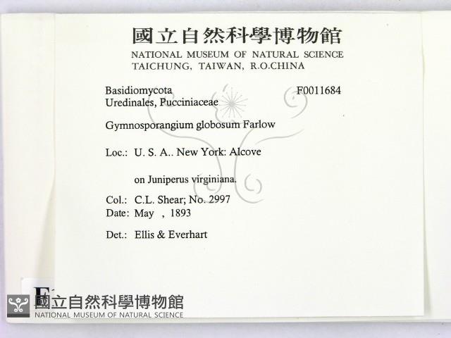 登錄號:F0011684藏品圖，第2張