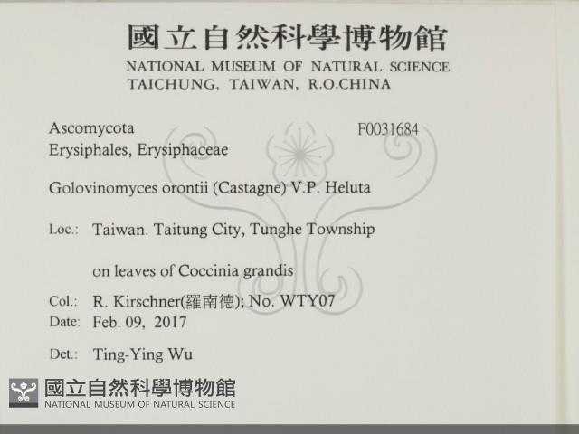 登錄號:F0031684藏品圖，第2張