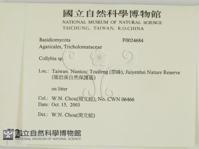 登錄號:F0024684藏品圖，第2張