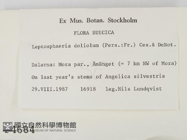 登錄號:F0004684藏品圖，第2張