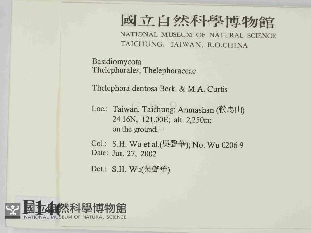 登錄號:F0014684藏品圖，第2張