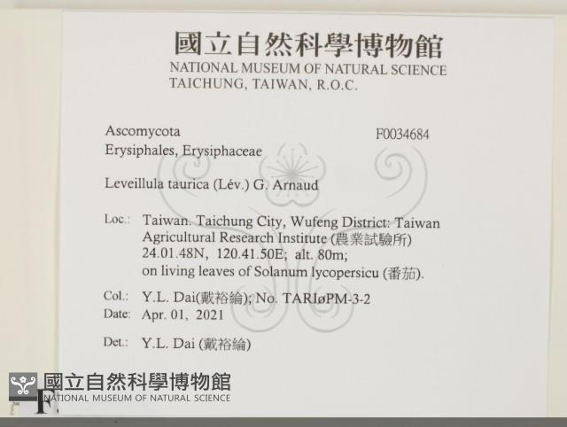 登錄號:F0034684藏品圖，第2張