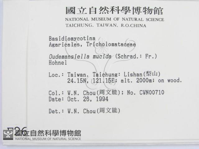 登錄號:F0002684藏品圖，第2張