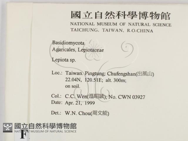 登錄號:F0012684藏品圖，第2張