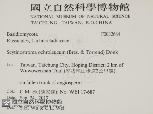 登錄號:F0032684藏品圖，第2張