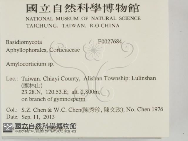 登錄號:F0027684藏品圖，第2張