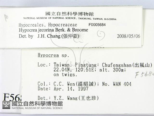 登錄號:F0005684藏品圖，第2張