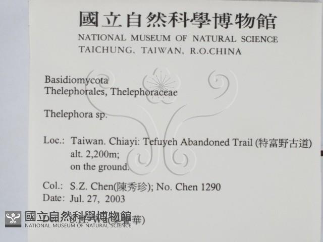 革菌屬藏品圖，第2張