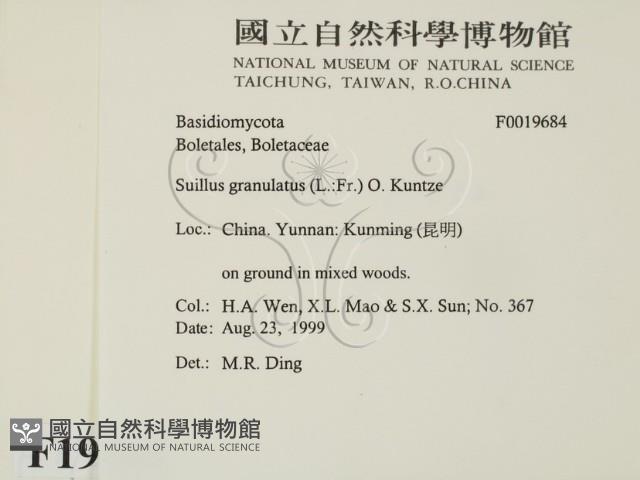 登錄號:F0019684藏品圖，第2張
