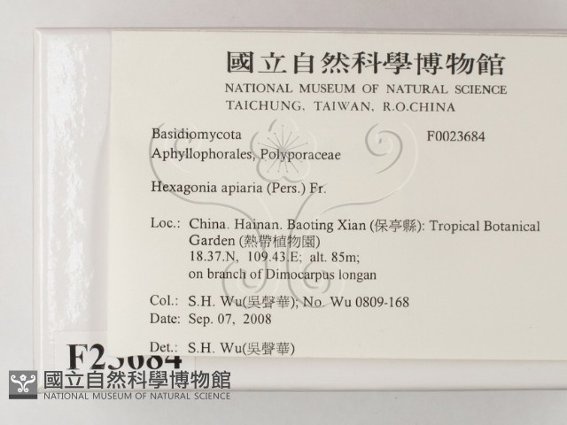登錄號:F0023684藏品圖，第2張