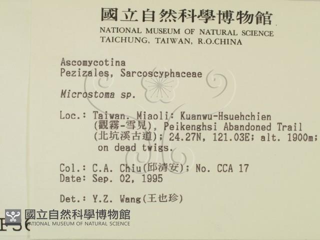 登錄號:F0003684藏品圖，第2張