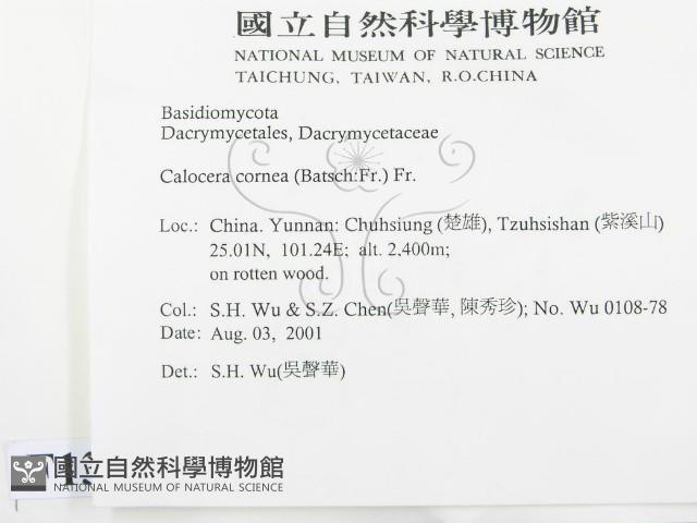 登錄號:F0013684藏品圖，第2張