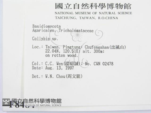 登錄號:F0008484藏品圖，第2張