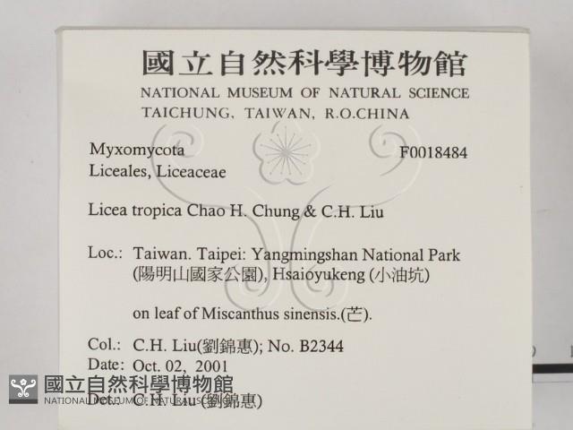 館號:F0018484藏品圖，第2張