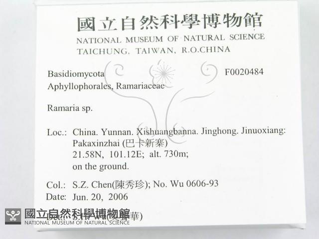 登錄號:F0020484藏品圖，第2張